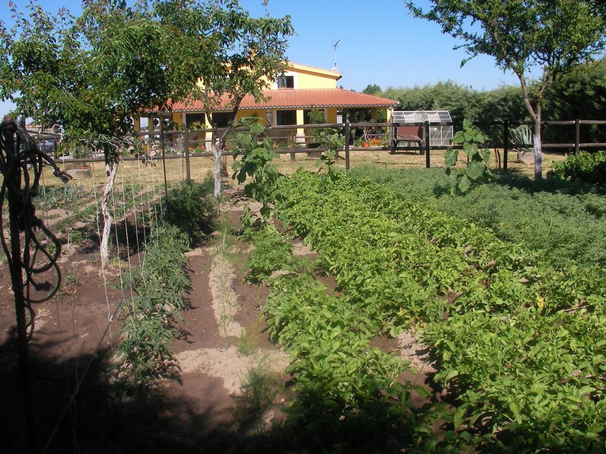 La Posada Hípica Rosalejo  Exterior foto